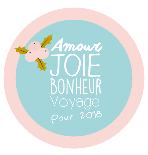 Magnet dons bonne année 2018