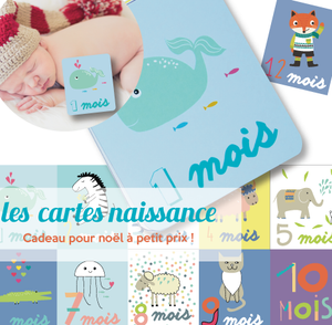 Carte mois après mois bébé