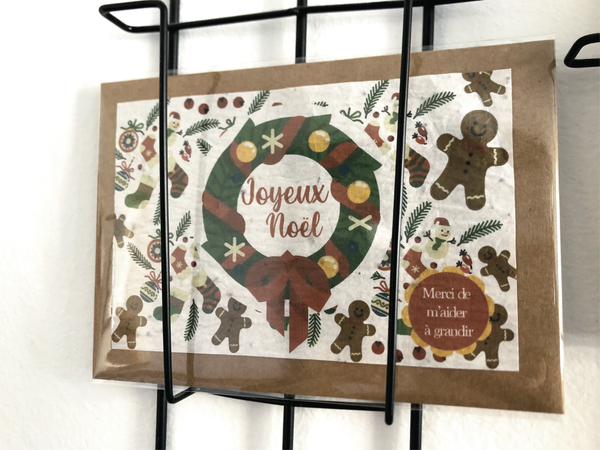 Joyeux noël maîtresse