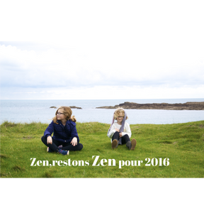 Bonne année 2017 carte Zen restons Zen
