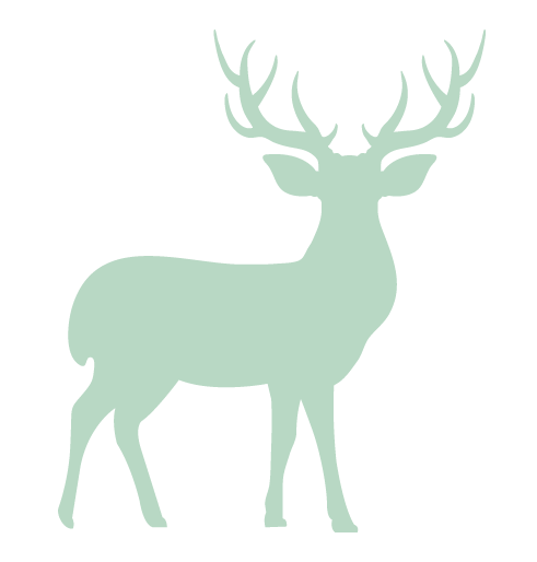 Custom Product Design