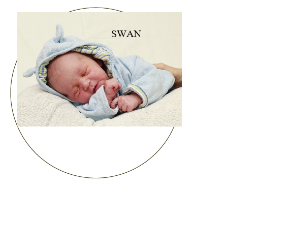 Custom Product Design