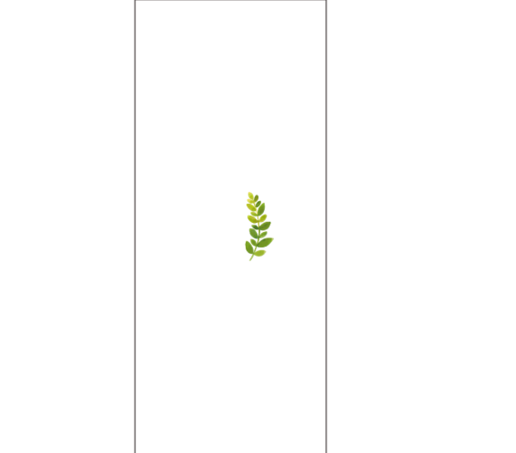 Custom Product Design