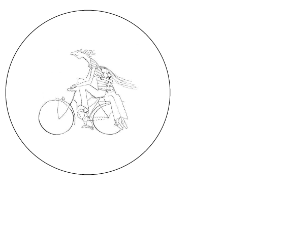Custom Product Design
