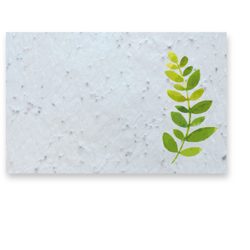 Custom Product Design