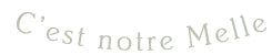 Custom Product Design
