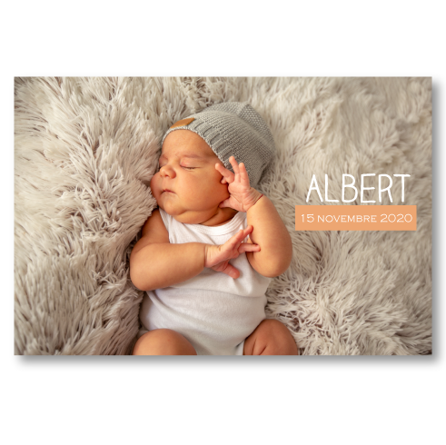Faire-part de naissance Albert