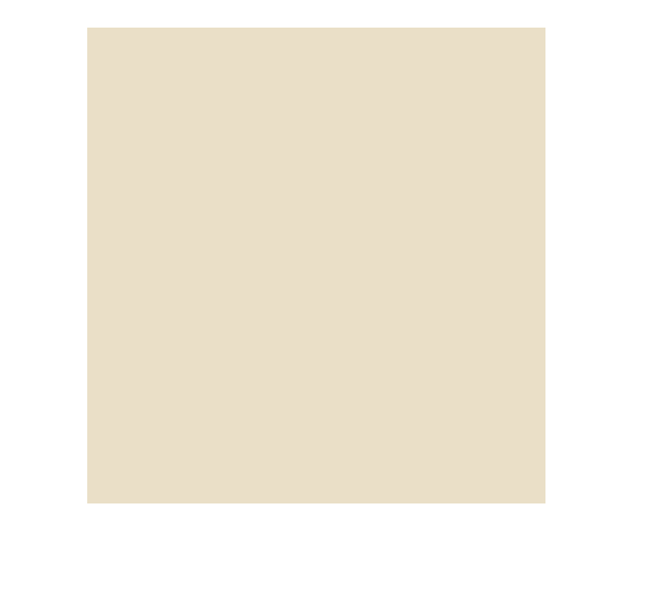 Custom Product Design