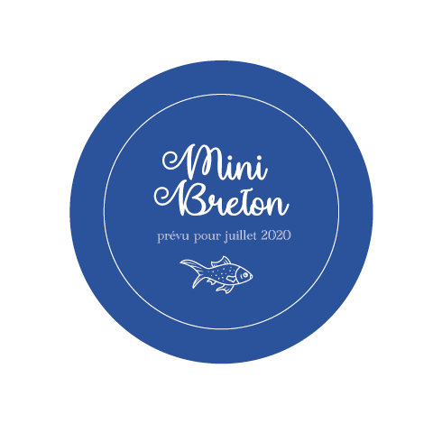 Badge mini breton